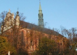 Parafia Katedralna w Sandomierzu